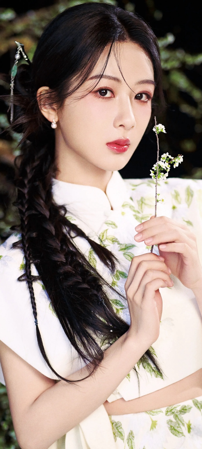 杨紫